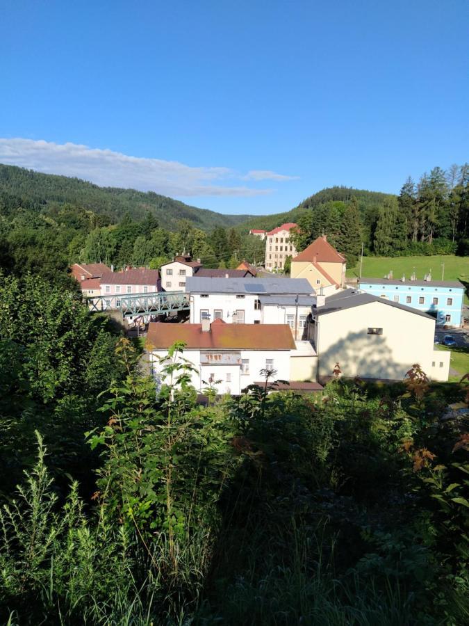 Hotel Koruna Penzion Teplice nad Metují Exterior foto